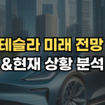 테슬라 미래 전망