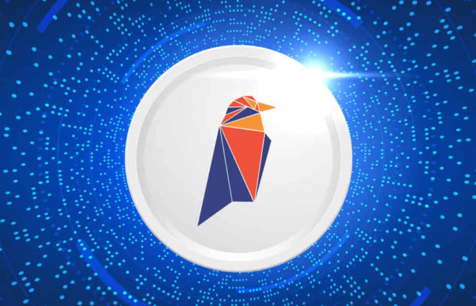 RVN 코인 로고