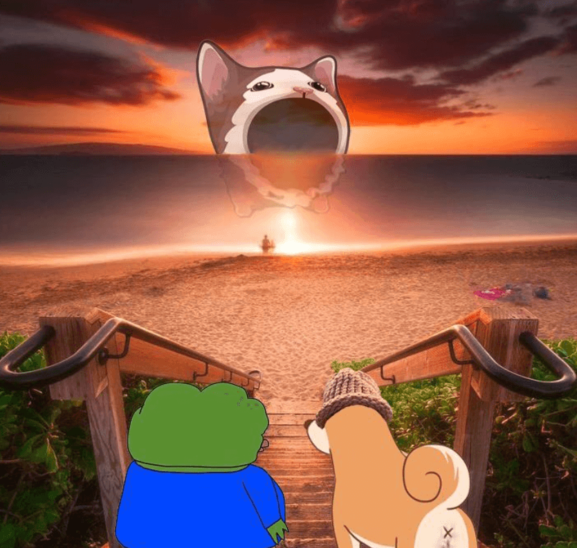 팝캣 코인 급등