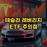 테슬라 레버리지
