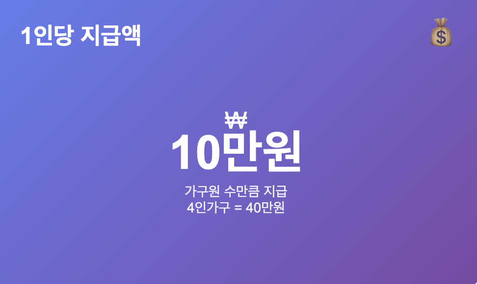 2025 민생지원금