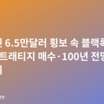 비트코인 6.5만달러 횡보 속 블랙록 ETF·스트래티지 매수·100년 전망 논란까지