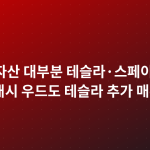 머스크 자산 대부분 테슬라·스페이스X 주식…캐시 우드도 테슬라 추가 매수