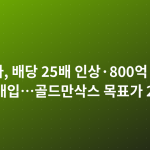 엔비디아, 배당 25배 인상·800억 달러 자사주 매입…골드만삭스 목표가 285달러