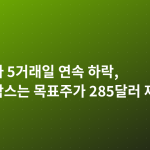 엔비디아 5거래일 연속 하락, 골드만삭스는 목표주가 285달러 제시