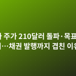 엔비디아 주가 210달러 돌파·목표가 425달러…채권 발행까지 겹친 이유