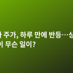 엔비디아 주가, 하루 만에 반등…상승과 하락 사이 무슨 일이?
