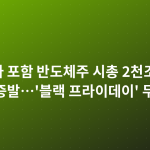 엔비디아 포함 반도체주 시총 2천조 하루새 증발…'블랙 프라이데이' 무슨 일?