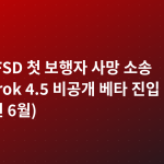 테슬라 FSD 첫 보행자 사망 소송 합의·Grok 4.5 비공개 베타 진입 (2026년 6월)