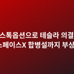 머스크, 스톡옵션으로 테슬라 의결권 20% 근접…스페이스X 합병설까지 부상