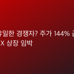 테슬라 유일한 경쟁자? 주가 144% 급등 + 스페이스X 상장 임박