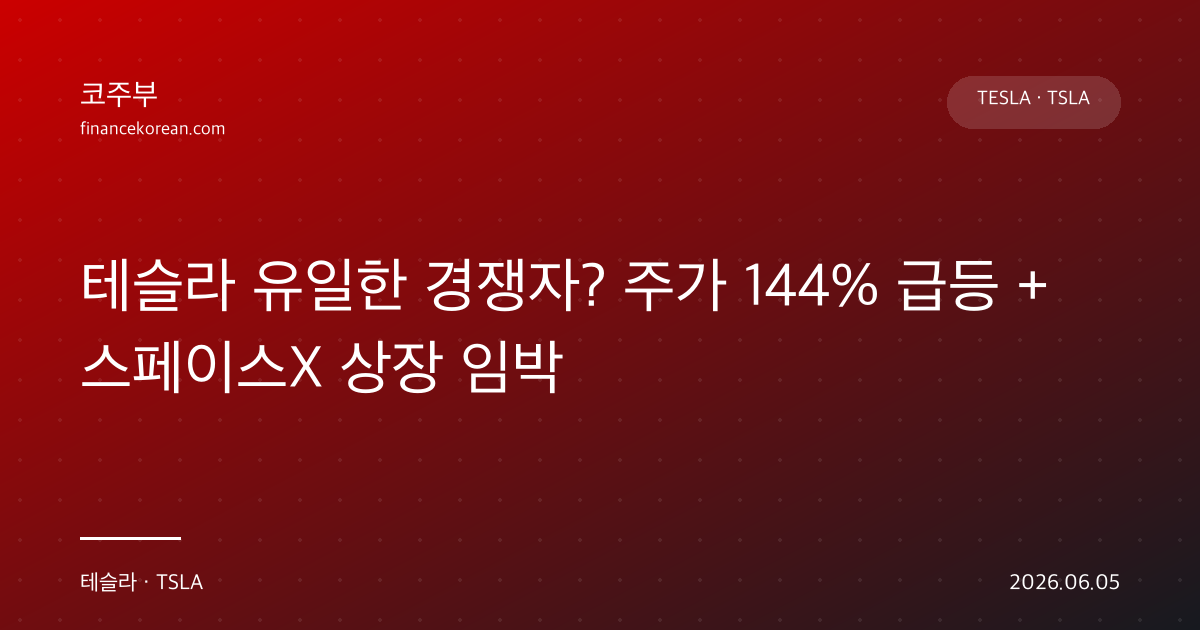 테슬라 유일한 경쟁자? 주가 144% 급등 + 스페이스X 상장 임박