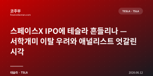 스페이스X IPO에 테슬라 흔들리나 — 서학개미 이탈 우려와 애널리스트 엇갈린 시각