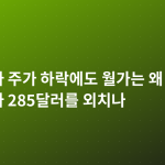 엔비디아 주가 하락에도 월가는 왜 목표주가 285달러를 외치나